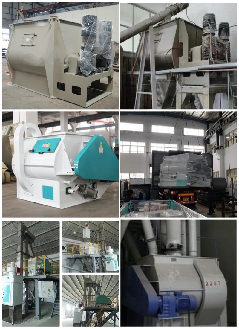 Gravityless Twin Shaft Paddle Mixer Manufacturer